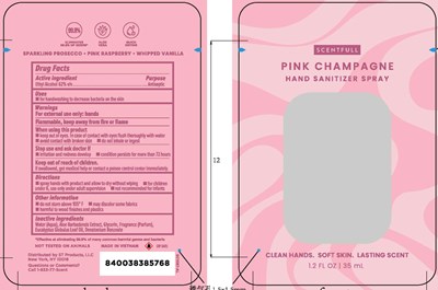 Sanitizers_revised_techpacks_print_pink Champagne-rev-ol (Sanitizers Revised Techpacks Print Pink Champagne Rev Ol)